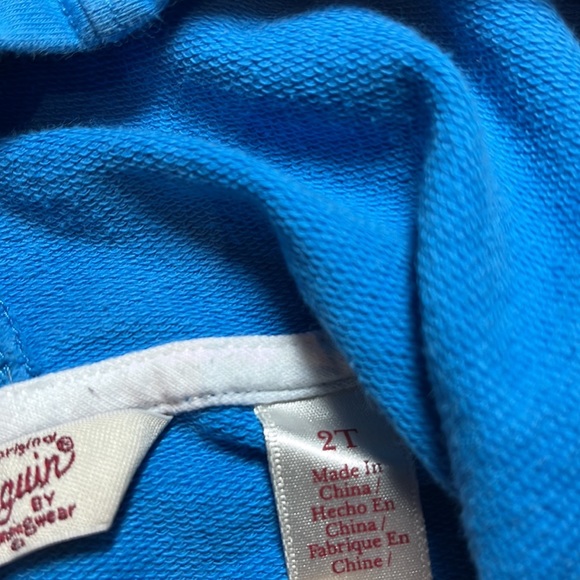 Sky blue toddler Penguin zip hoodie with pockets - Picture 5 of 6